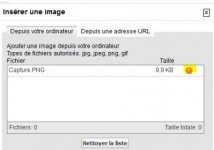 Capture1.jpg