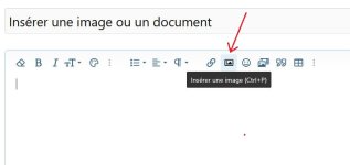 Insérer une image (1).JPG