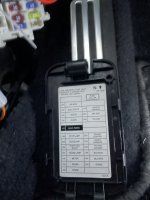 IMG_4318.jpeg IMG_4318.jpeg