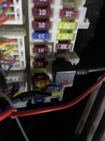 IMG_4319.jpeg IMG_4319.jpeg